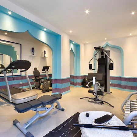 מלון Minerva 4*